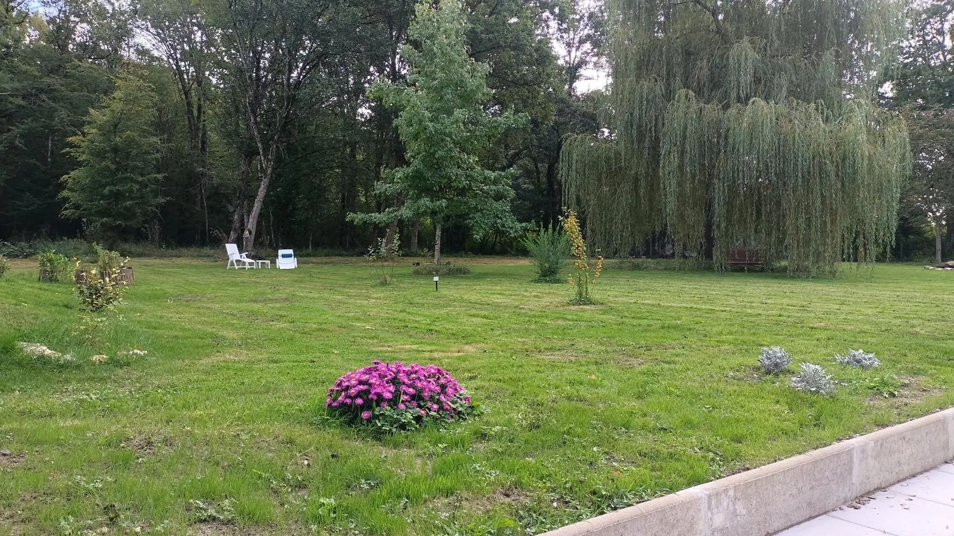 Bed & Breakfast Suite Balneo En Bord De Foret Pouzy-Mesangy