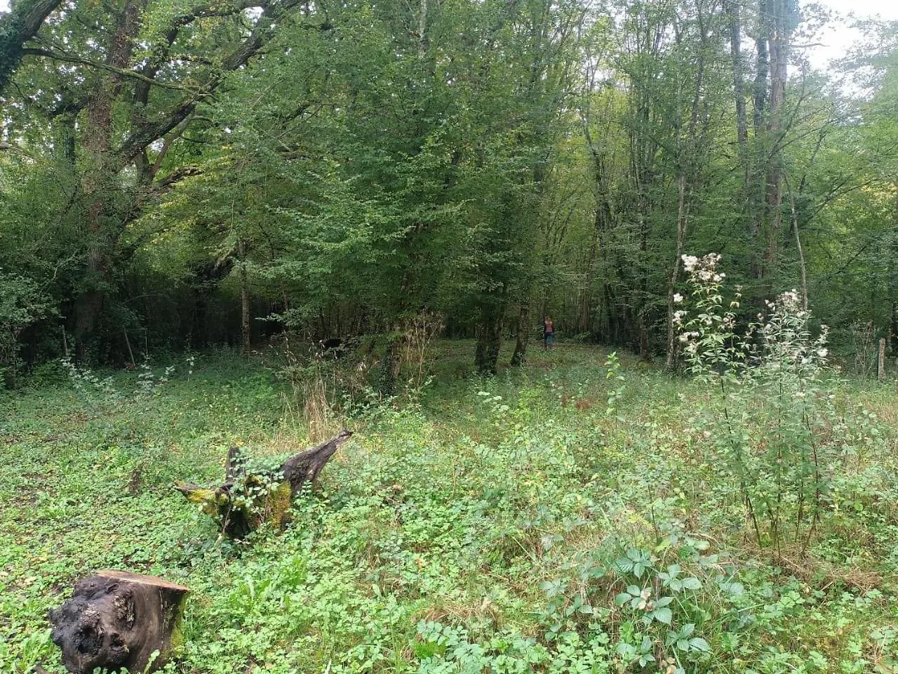 Suite Balneo En Bord De Foret Pouzy-Mesangy