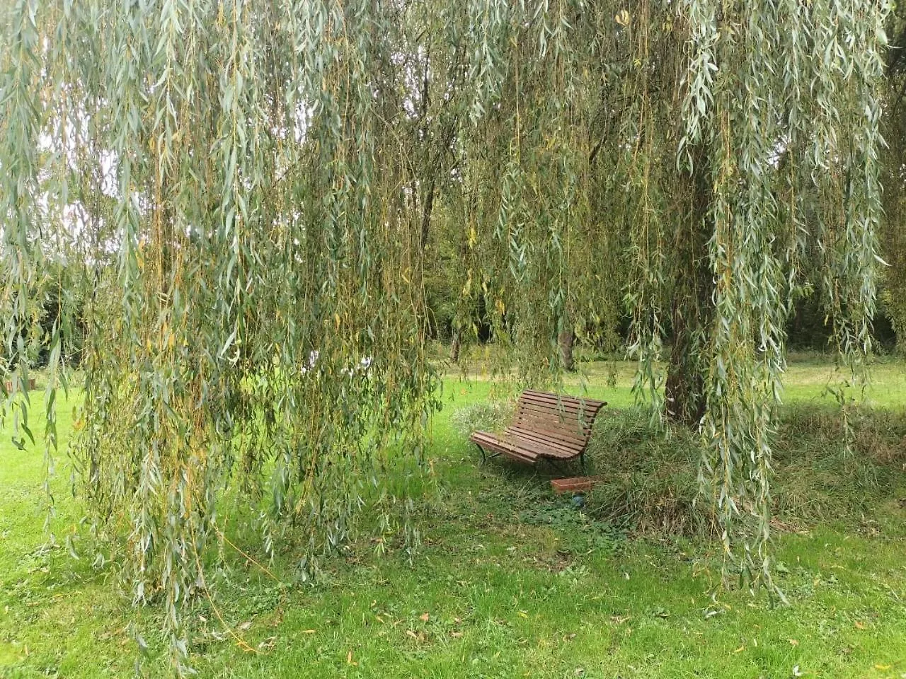 Suite Balneo En Bord De Foret Pouzy-Mesangy Bed & Breakfast