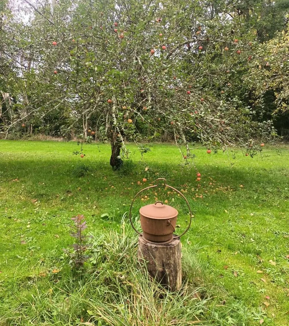 Suite Balneo En Bord De Foret Pouzy-Mesangy